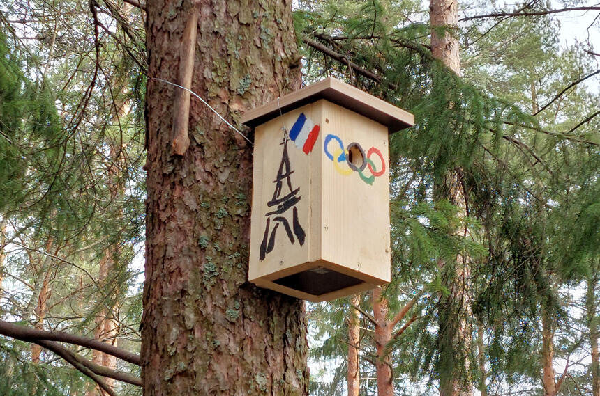 birdhouse.jpg